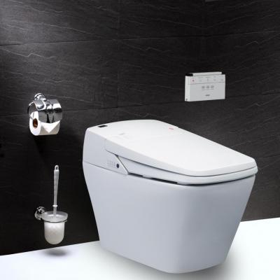 Bàn Cầu Điện Tử - CA1380H